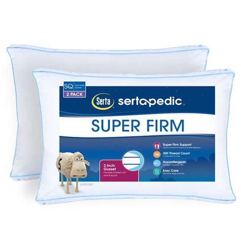 Buy Online Serta Pillows Reviews